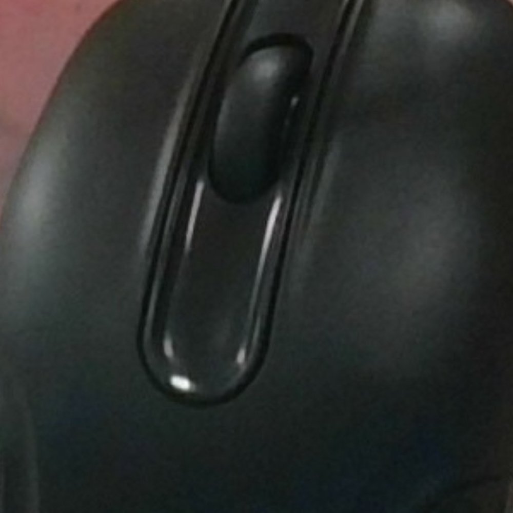 a student mouse